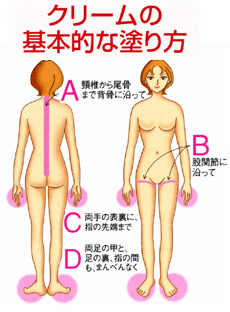 クリームの基本的な塗り方